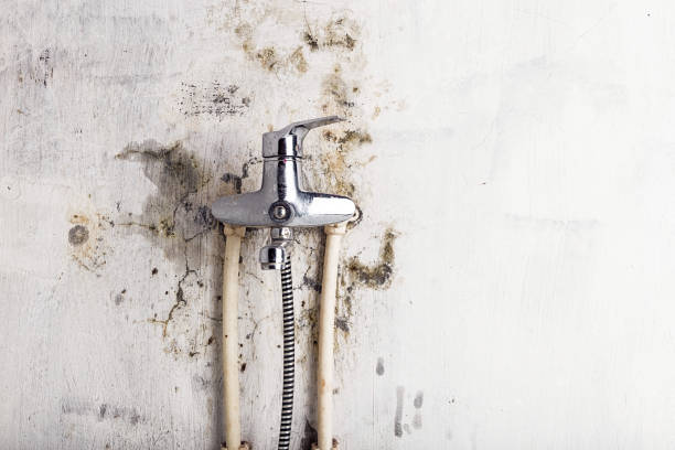 Best Post-Remediation Services in Church Rock, NM