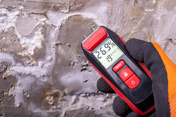 Best Post-Flood Mold Remediation in Church Rock, NM